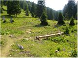 Koncentracijsko taborišče - Planina Korošica